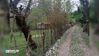 نمای محوطه کلبه چوبی آمادای - ماسال - روستای سیاهدول