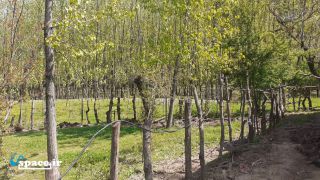 نمای محوطه کلبه چوبی آمادای - ماسال - روستای سیاهدول